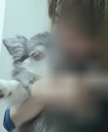 Isabell, 30